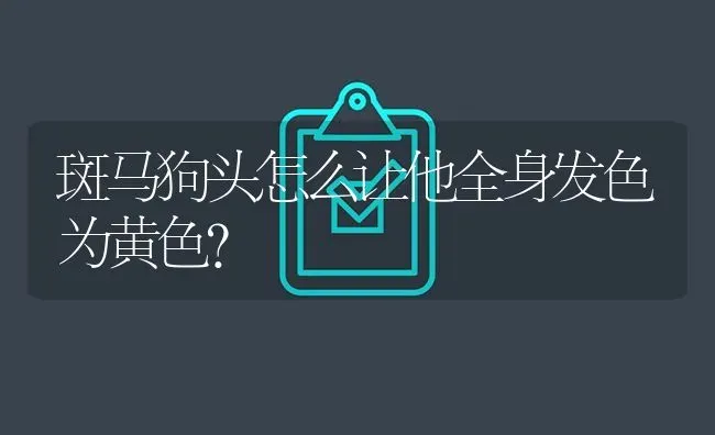 斑马狗头怎么让他全身发色为黄色？ | 鱼类宠物饲养