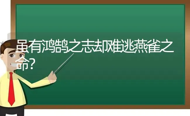 狗狗拉血便，有恶臭，不吃东西，眼屎多，嗜睡？ | 动物养殖问答