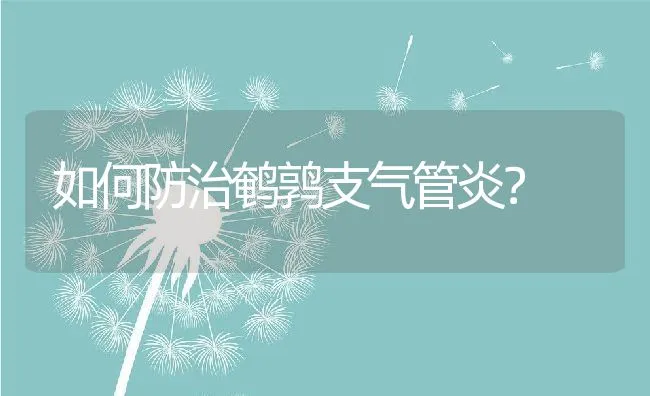 如何防治鹌鹑支气管炎？ | 动物养殖学堂