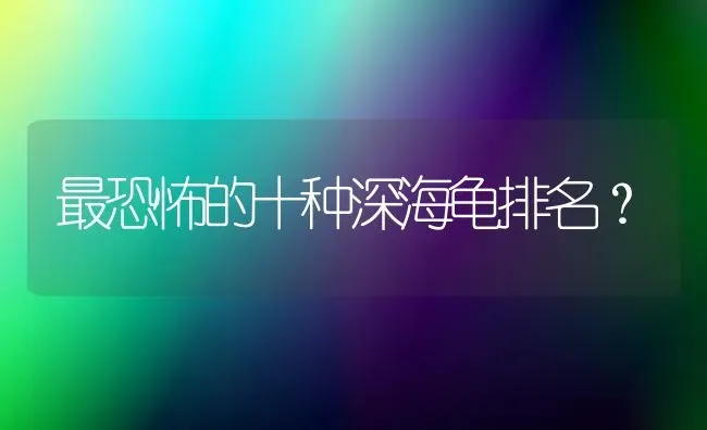 鹦鹉是从什么动物进化的？ | 动物养殖问答