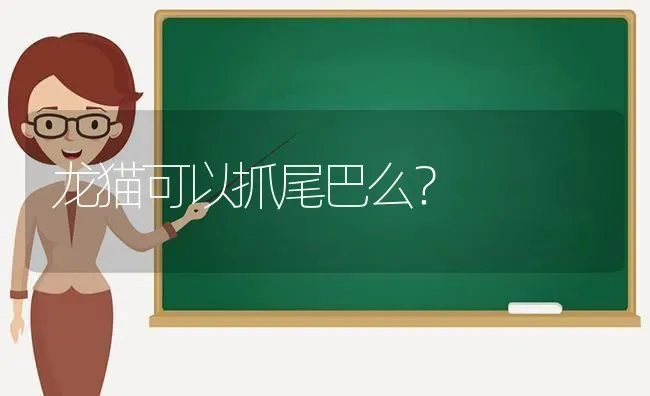 矮脚猫型的主要品种？ | 动物养殖问答