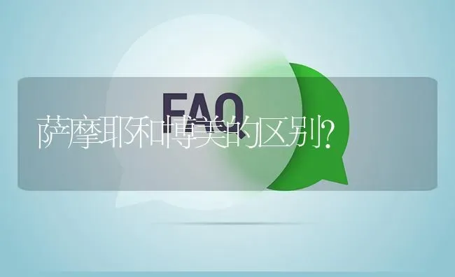 萨摩耶和博美的区别？ | 动物养殖问答