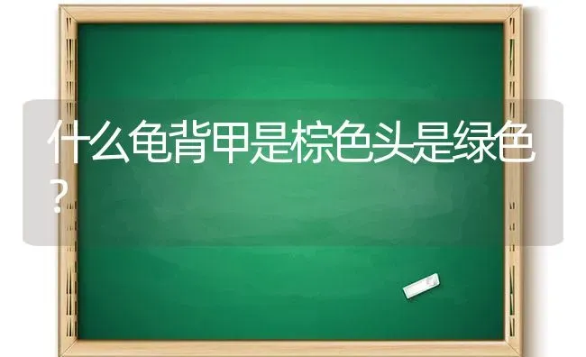 什么龟背甲是棕色头是绿色？ | 动物养殖问答