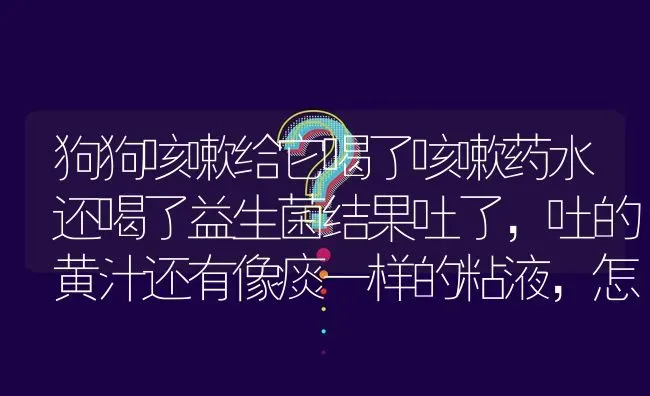 狗狗咳嗽给它喝了咳嗽药水还喝了益生菌结果吐了，吐的黄汁还有像痰一样的粘液，怎么回事啊？ | 动物养殖问答