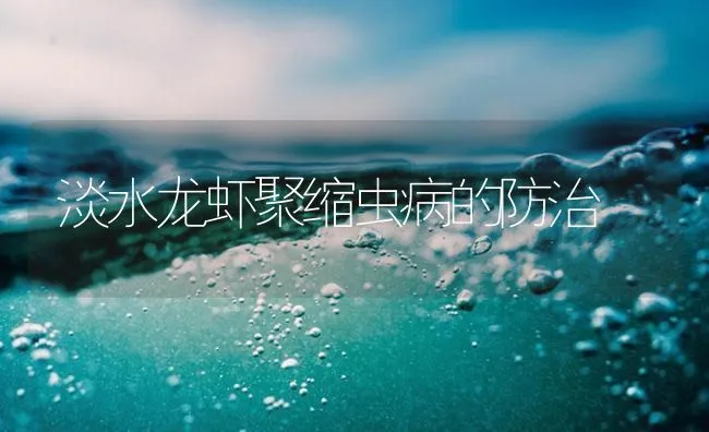 淡水龙虾聚缩虫病的防治 | 海水养殖技术