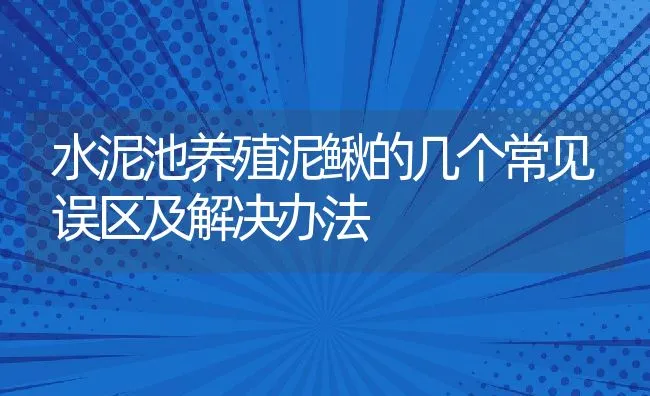 水泥池养殖泥鳅的几个常见误区及解决办法 | 动物养殖饲料