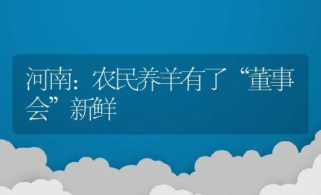 河南：农民养羊有了“董事会”新鲜 | 动物养殖饲料