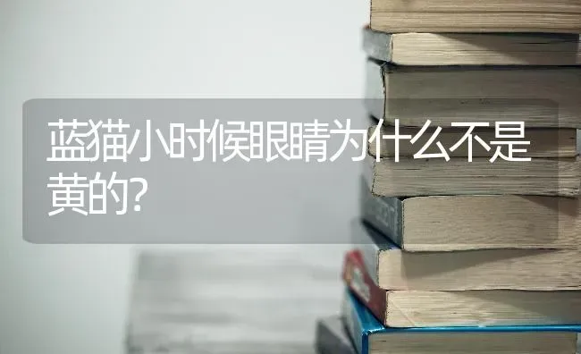 狗狗吐了黄水是怎么回事？ | 动物养殖问答