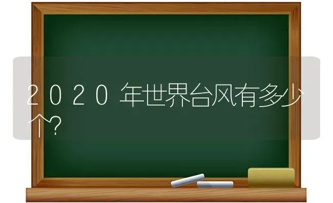 60天的布偶猫温顺吗？ | 动物养殖问答