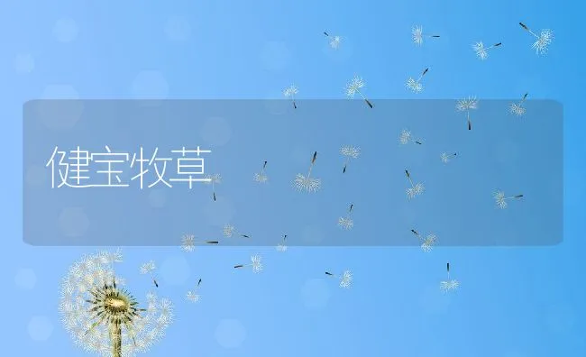 健宝牧草 | 动物养殖学堂