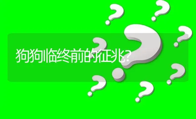 狗狗临终前的征兆？ | 动物养殖问答