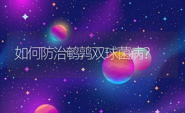 如何防治鹌鹑双球菌病？ | 动物养殖学堂