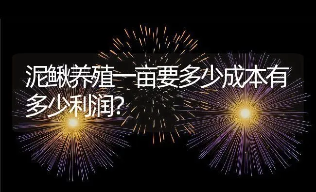 泥鳅养殖一亩要多少成本有多少利润？ | 动物养殖百科