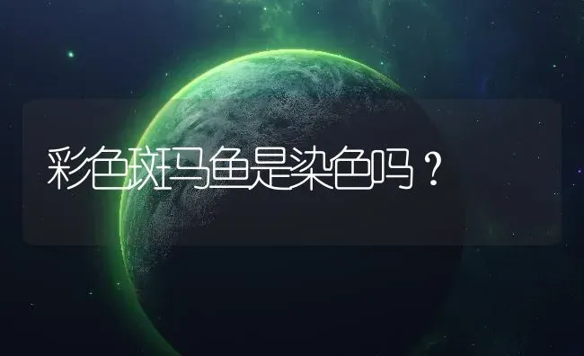 彩色斑马鱼是染色吗？ | 鱼类宠物饲养