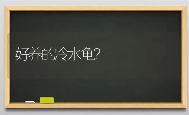 好养的冷水龟？ | 动物养殖问答