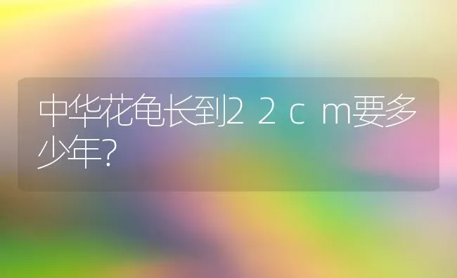 中华花龟长到22cm要多少年？ | 动物养殖问答