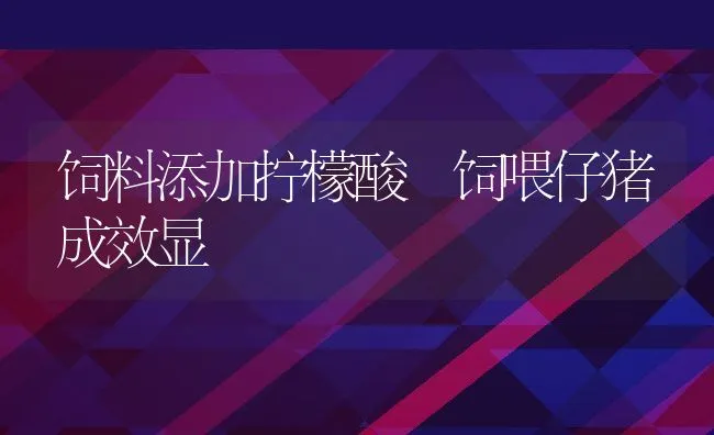 发挥蛋鸡潜力应把握七关键 | 动物养殖学堂