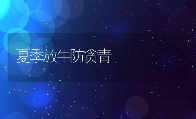 夏季放牛防贪青 | 动物养殖学堂