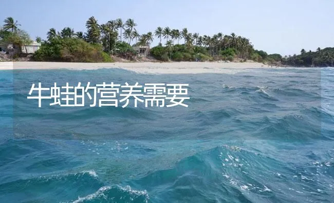 牛蛙的营养需要 | 海水养殖技术