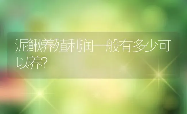 泥鳅养殖利润一般有多少可以养？ | 动物养殖百科