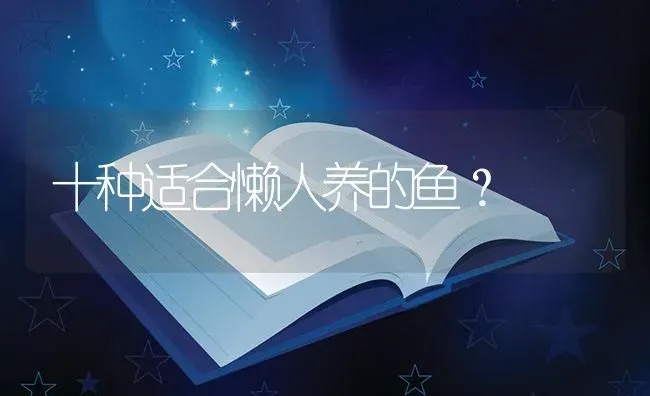 七彩神仙鱼能和神仙鱼混养吗？ | 鱼类宠物饲养