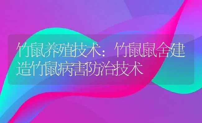 竹鼠养殖技术：竹鼠鼠舍建造竹鼠病害防治技术 | 动物养殖百科