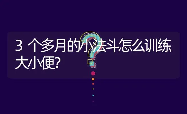 3个多月的小法斗怎么训练大小便？ | 动物养殖问答