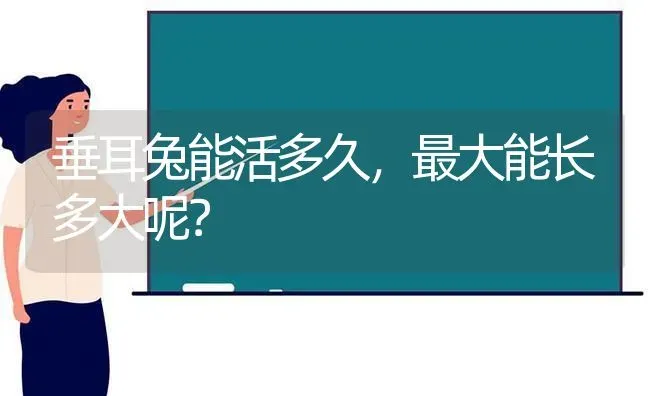 垂耳兔能活多久，最大能长多大呢？ | 动物养殖问答