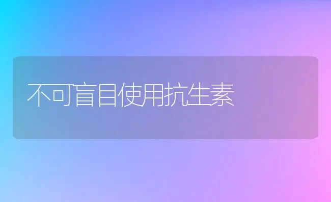 不可盲目使用抗生素 | 动物养殖学堂