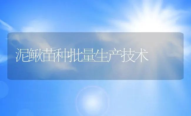 泥鳅苗种批量生产技术 | 水产养殖知识