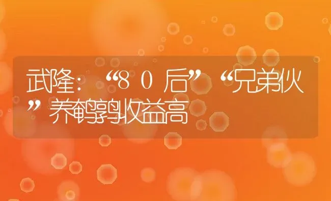 武隆：“80后”“兄弟伙”养鹌鹑收益高 | 动物养殖教程