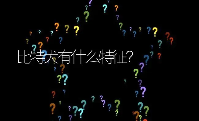 比特犬有什么特征？ | 动物养殖问答