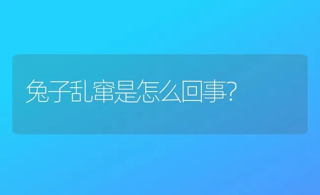 兔子乱窜是怎么回事？ | 动物养殖问答