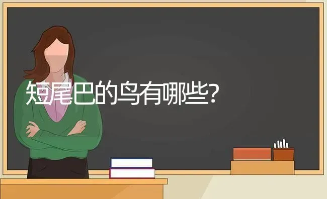 短尾巴的鸟有哪些？ | 动物养殖问答