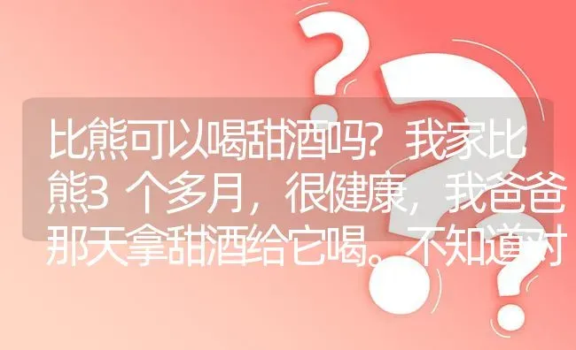 比熊可以喝甜酒吗?我家比熊3个多月，很健康，我爸爸那天拿甜酒给它喝。不知道对它又害处没？ | 动物养殖问答