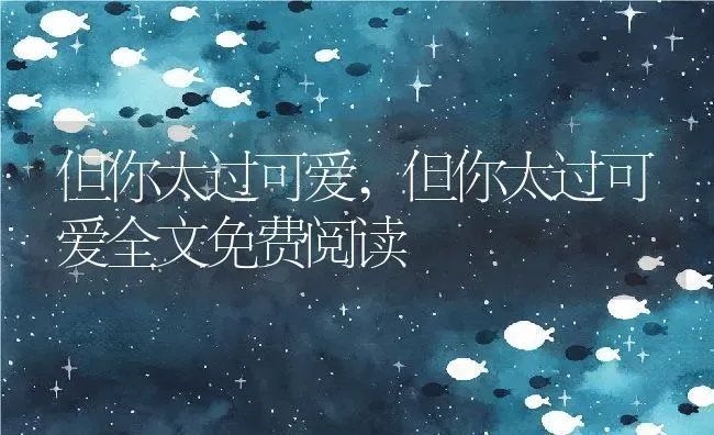 但你太过可爱,但你太过可爱全文免费阅读 | 宠物百科知识