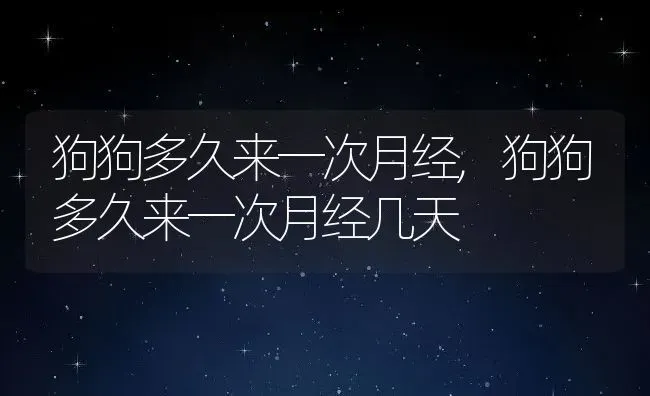 狗狗多久来一次月经,狗狗多久来一次月经几天 | 宠物百科知识