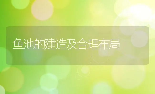 鱼池的建造及合理布局 | 动物养殖饲料