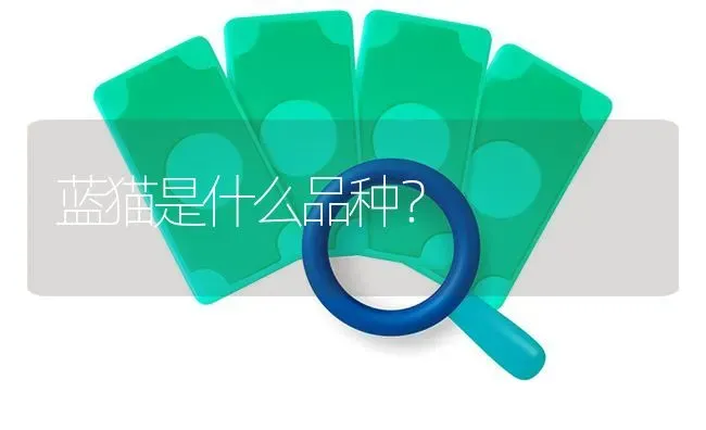 5岁金毛换主多久能适位？ | 动物养殖问答