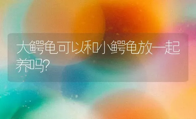 七个月布偶可以送人嘛？ | 动物养殖问答