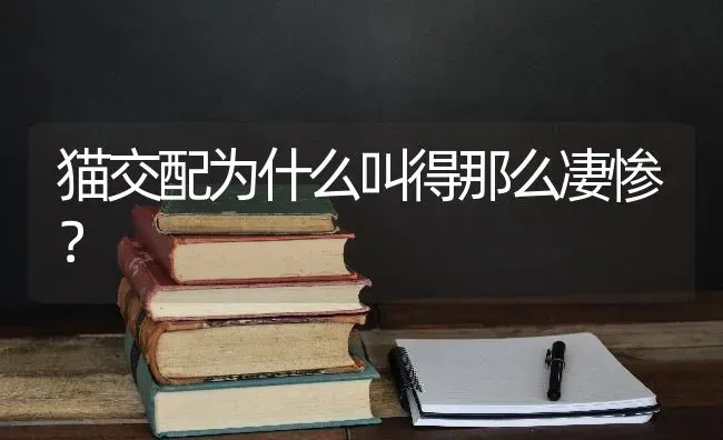 猫交配为什么叫得那么凄惨？ | 动物养殖问答