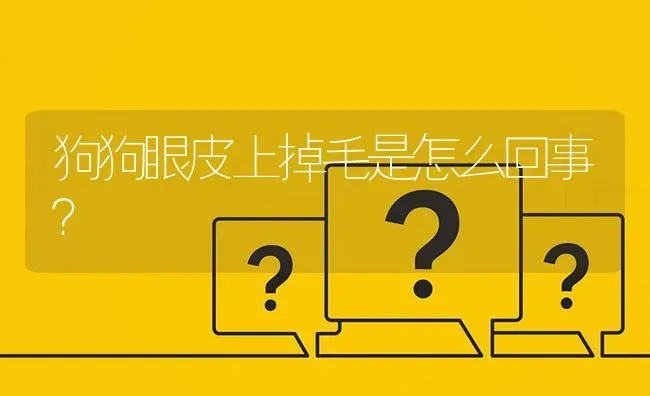 狗狗眼皮上掉毛是怎么回事？ | 动物养殖问答