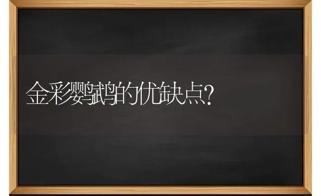 蓝猫一般隔多长时间生下一只？ | 动物养殖问答