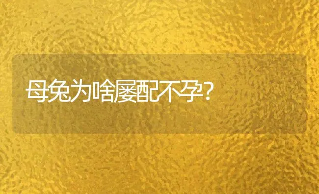 母兔为啥屡配不孕？ | 水产养殖知识