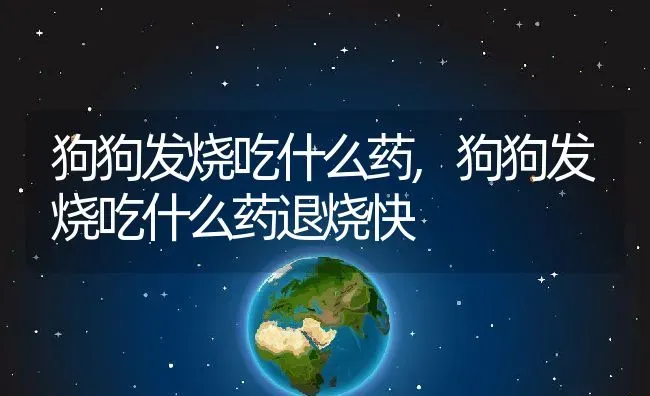 狗狗发烧吃什么药,狗狗发烧吃什么药退烧快 | 宠物百科知识