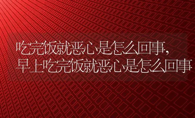 吃完饭就恶心是怎么回事,早上吃完饭就恶心是怎么回事 | 宠物百科知识