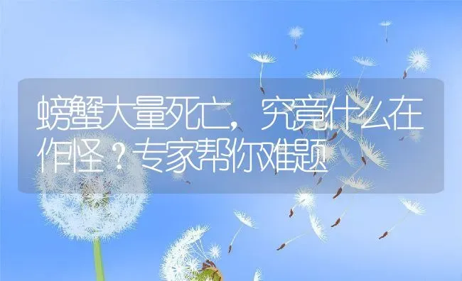 螃蟹大量死亡，究竟什么在作怪？专家帮你难题 | 动物养殖百科