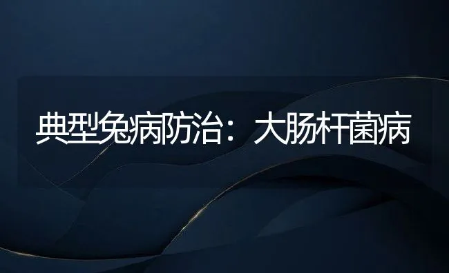 典型兔病防治：大肠杆菌病 | 水产养殖知识