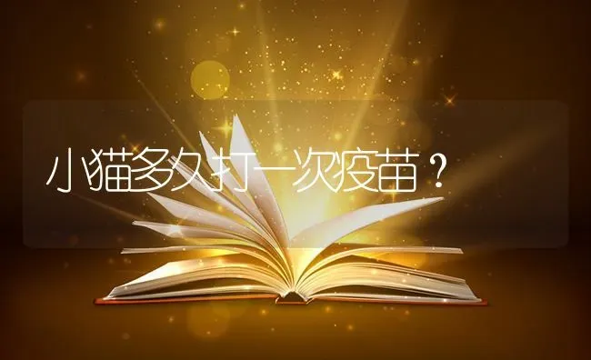 小猫多久打一次疫苗？ | 动物养殖问答