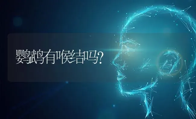 鹦鹉有喉结吗？ | 动物养殖问答